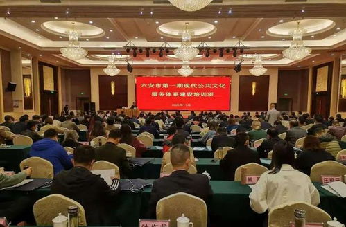 全市第一期现代公共文化服务体系建设培训班成功举办，聚焦文化场馆管理与服务创新